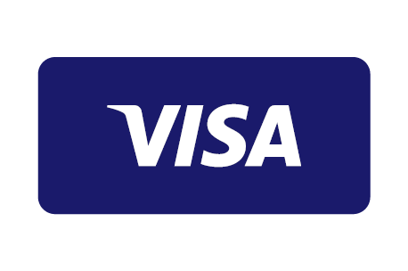 pago seguro con visa